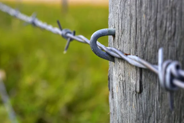 Close Image Old Barbed Wire Wooden Fence Post — Stock Photo, Image