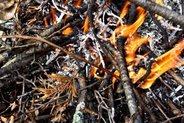 Görüntü küçük kontrollü yere ateş yakından.