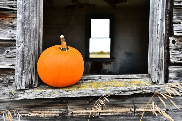 Image Large Orange Pumpkin Window Spooky Old Abandoned House — Stock Photo, Image