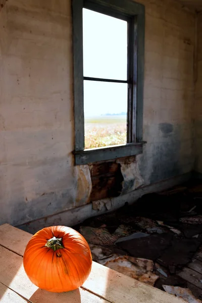 An image of a large pumpkin in a creepy old abandoned house.