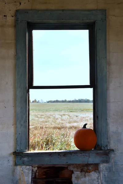 An image of a large pumpkin in a creepy old abandoned house.