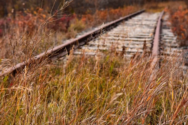 Das Bild Einer Alten Verlassenen Eisenbahnstrecke Überwachsen Mit Unkraut Und — Stockfoto