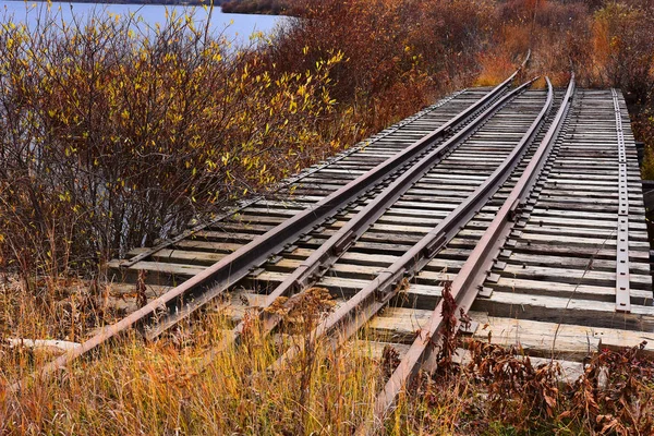 Das Bild Einer Alten Verlassenen Eisenbahnstrecke Überwachsen Mit Unkraut Und — Stockfoto