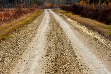 Eski bir çakıl yol sonbahar renkli ağaçları ile kaplı kırsal bir görüntü. 