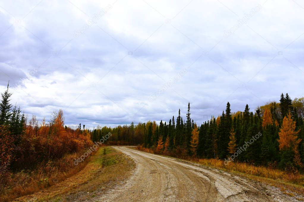 An image of an old gravel road in the countryside lined with autumn colored trees. 