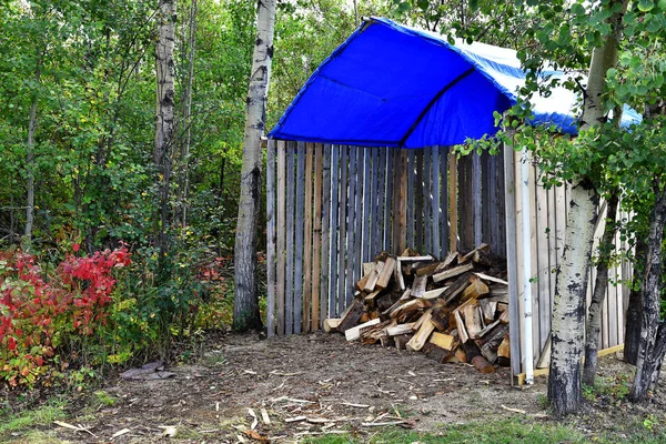 Obrázek Sekané Palivového Dřeva Dřevo Skladovací Haly Modrou Plachtu Střechou — Stock fotografie