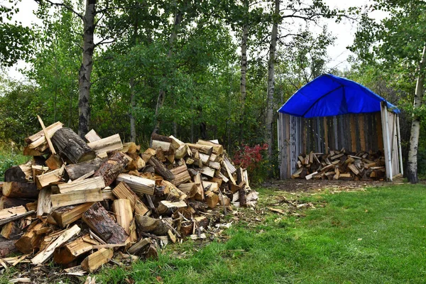 Das Bild Eines Gehäckselten Kaminholzes Und Eines Holzlagerschuppens Mit Blauem — Stockfoto