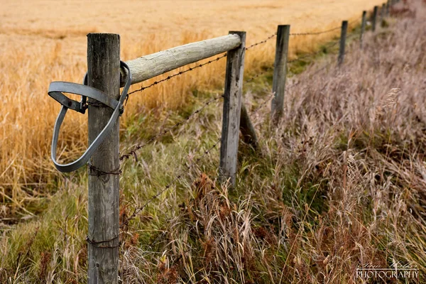 An image of an old wooden fence post and rusted barbed wire.