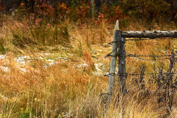 An image of an old wooden fence post and rusted barbed wire.