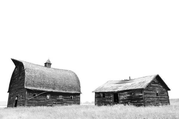 Una Imagen Blanco Negro Viejos Edificios Agrícolas Abandonados Atropellados —  Fotos de Stock