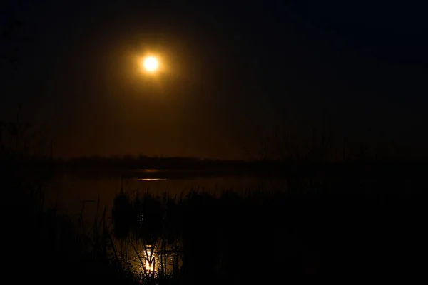 Una Imagen Resplandeciente Reflejo Luna Llena Lago Tranquilo —  Fotos de Stock