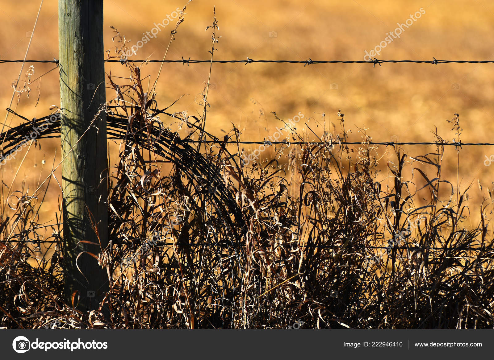 wrapped wire fencing
