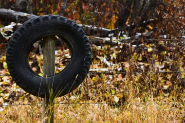 Bir tek kullanılan lastik sol eski bir ahşap çit yazı üzerine asılı bir resim. 