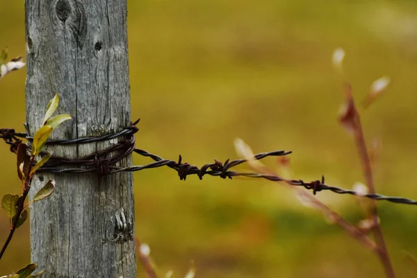 Una Imagen Cerca Del Viejo Alambre Púas Oxidado Poste Valla — Foto de Stock