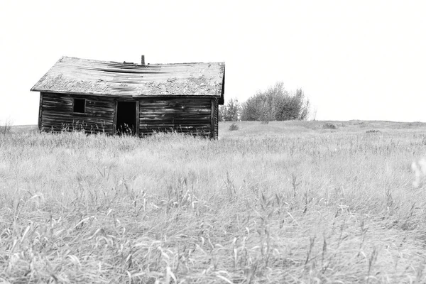 Black White Image Creepy Abandoned House Middle Agricultural Field — Stock Photo, Image