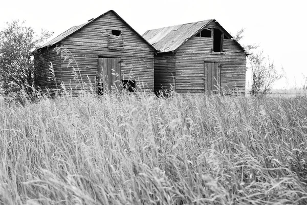 Ein Bild Alter Heruntergekommener Landwirtschaftlicher Lagerhallen Inmitten Eines Heufeldes — Stockfoto