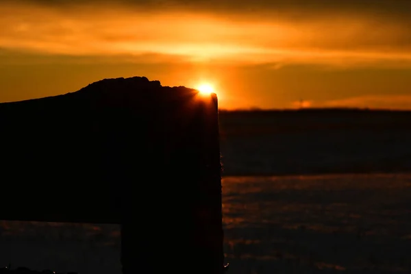 Ein Silhouettenbild Eines Stacheldrahtzauns Bei Sonnenuntergang — Stockfoto