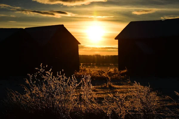 Kışın Bir Eski Terk Edilmiş Çiftlik Bir Siluet Görüntüsünü — Stok fotoğraf