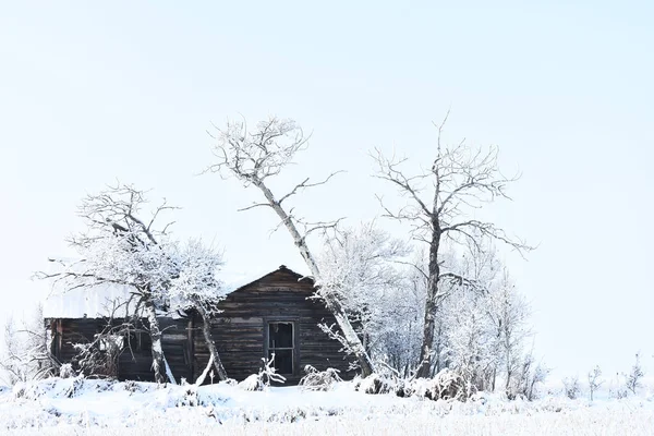 An image of an old run down farm house in winter.