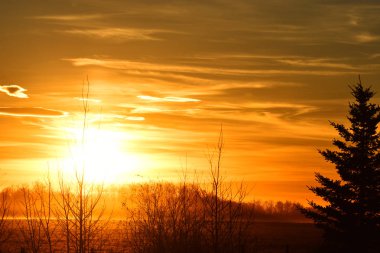 Görüntüyü bir açık alan üzerinde parlak bir turuncu günbatımı. 