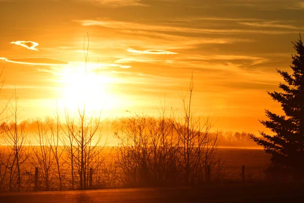 Ein Bild Eines Leuchtend Orangen Sonnenuntergangs Über Einem Offenen Feld — Stockfoto