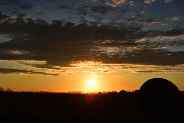 Ein Silhouettenbild Von Mehreren Großen Runden Heuballen Auf Einem Feld — Stockfoto