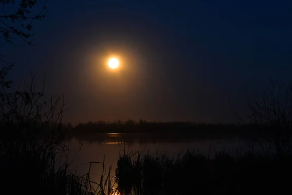 Una Imagen Luz Dorada Luna Que Refleja Las Tranquilas Aguas —  Fotos de Stock