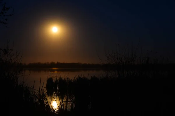 Una Imagen Luz Dorada Luna Que Refleja Las Tranquilas Aguas —  Fotos de Stock