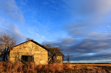 Eski bir görüntüsünü geç sonbaharda çiftlik kırık camlar ile koş. 