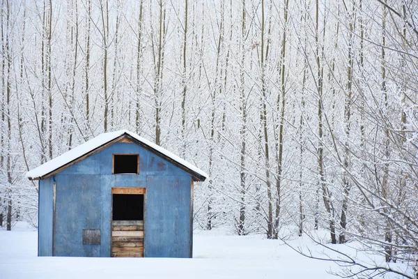Ein Bild Eines Alten Blauen Landwirtschaftlichen Getreidespeichers Umgeben Von Frostbedeckten — Stockfoto