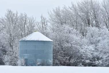 Buz ve kar kaplı metal tarım tahıl depolama döken bir görüntü. 