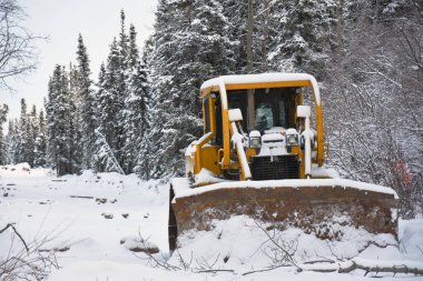 Büyük sarı buldozer orman yolundan takas görüntüsü. 