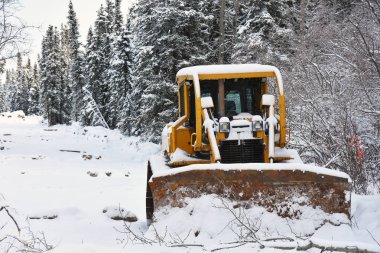 Büyük sarı buldozer orman yolundan takas görüntüsü. 