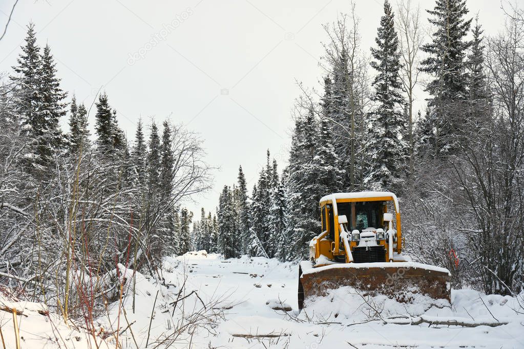 An image of a large yellow bulldozer clearing a path through the forest. 