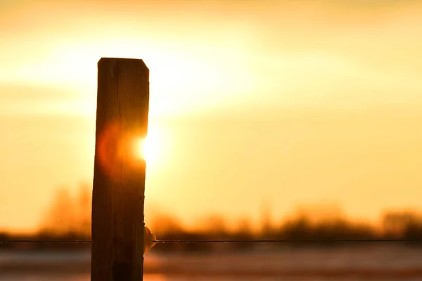 Silhouette Eines Hölzernen Zaunpfostens Und Stacheldraht Bei Sonnenuntergang — Stockfoto