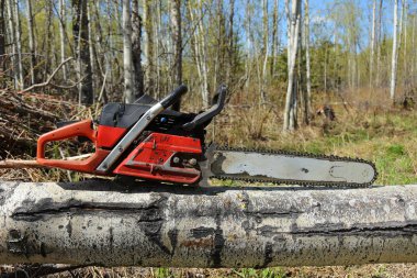 Bir ağaç kütüğü üzerinde dinlenen eski bir kirli testere yakın görüntü. 