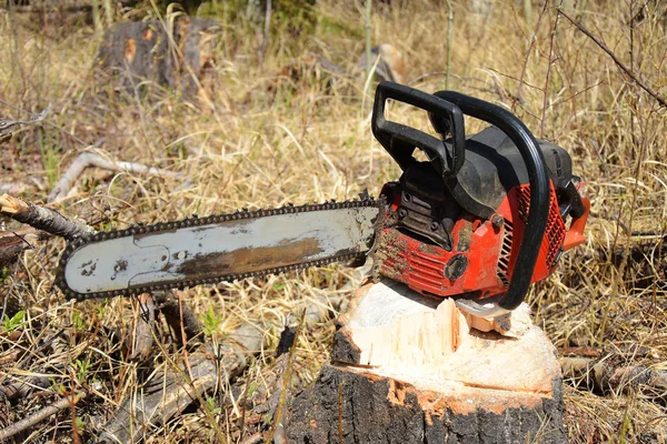 Nahaufnahme Einer Alten Schmutzigen Kettensäge Die Auf Einem Baumstumpf Ruht — Stockfoto