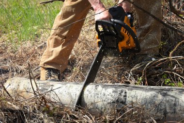 Sarı bir testere ile odun kesme genç bir adam bir yakın yukarı görüntü. 