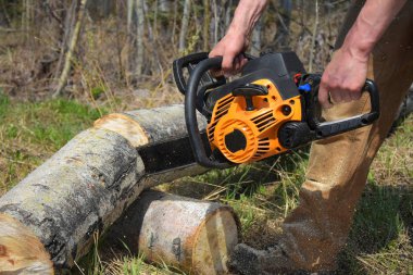 Sarı bir testere ile odun kesme genç bir adam bir yakın yukarı görüntü. 