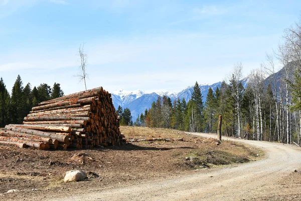 An image of industrial logging on a remote mountain side.