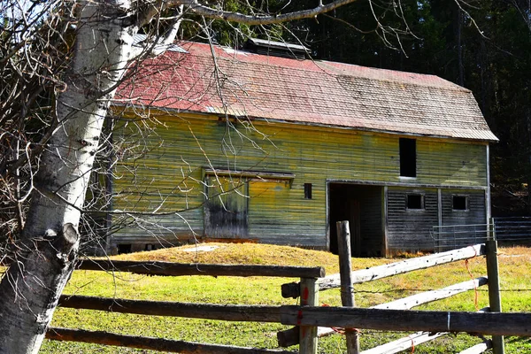 色あせた黄色い塗料を持つ古い木造農業納屋のイメージ — ストック写真