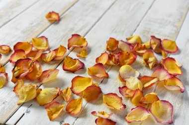 Soluk eski ahşap üzerinde kurutulmuş sarı ve kırmızı gül yaprakları yakın bir görüntü. 