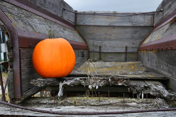 Image Single Ripe Pumpkin Old Vintage Farming Equipment — Stock Photo, Image