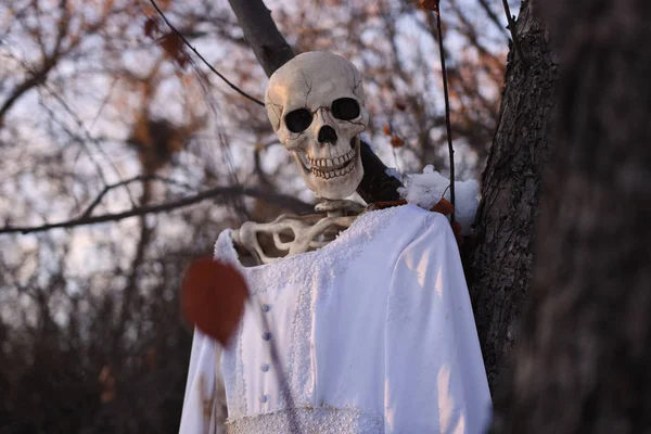 Una Imagen Espeluznante Una Novia Esqueleto Halloween Bosque —  Fotos de Stock