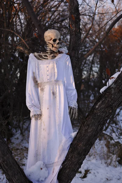 Una Imagen Espeluznante Una Novia Esqueleto Halloween Bosque — Foto de Stock