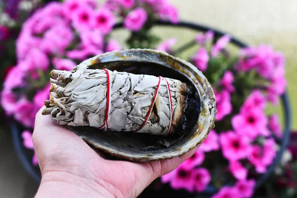 White sage smudge bundle in abalone shell against a pink petunia background.