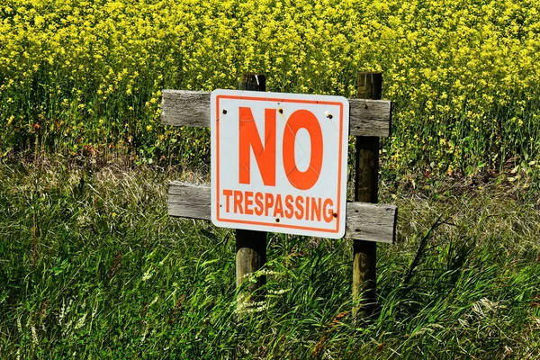 Image Old Trespassing Sign Posted Edge Canola Field — Stock Photo, Image