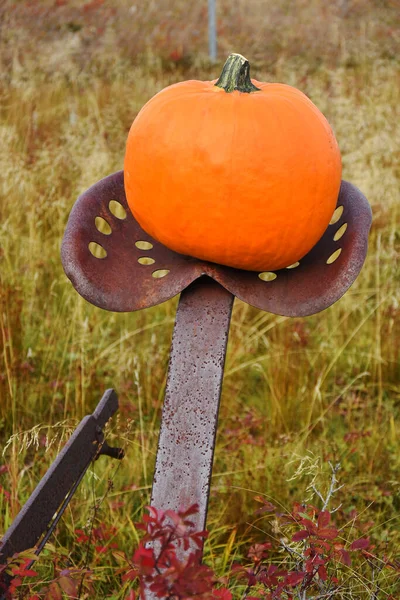 Ein Bild Eines Großen Reifen Orangen Kürbisses Auf Alten Landwirtschaftlichen — Stockfoto