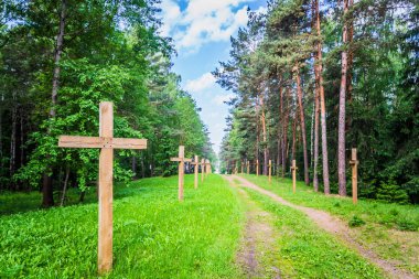 terk edilmiş bir mezarlık bir eski paslı ormanda çapraz