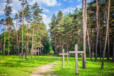 terk edilmiş bir mezarlık bir eski paslı ormanda çapraz